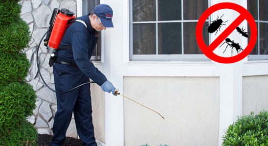 Örnekköy Akrep İlaçlama böcek ilaçlama ve haşere kontrolü — ilaclama-tr.com